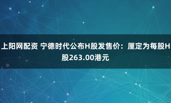 上阳网配资 宁德时代公布H股发售价：厘定为每股H股263.00港元