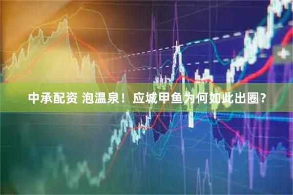 中承配资 泡温泉!应城甲鱼为何如此出圈?