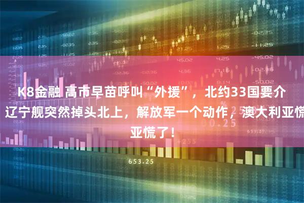 K8金融 高市早苗呼叫“外援”，北约33国要介入？辽宁舰突然掉头北上，解放军一个动作，澳大利亚慌了！