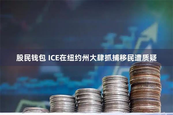 股民钱包 ICE在纽约州大肆抓捕移民遭质疑